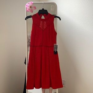 Bebe red, lace sleeveless dress.